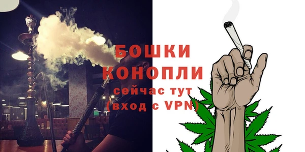 сатива Куйбышев