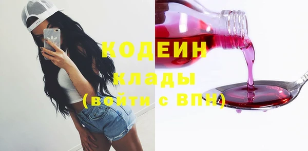 сатива Куйбышев