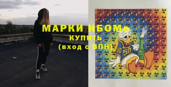 сатива Куйбышев