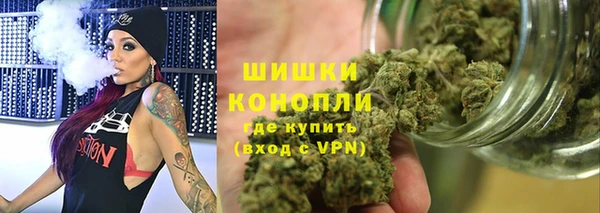 сатива Куйбышев