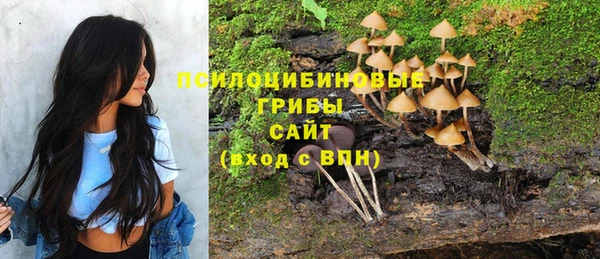 твердый Кулебаки