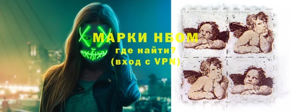 сатива Куйбышев