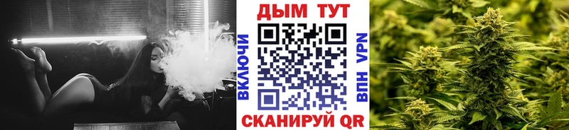 Канабис план  маркетплейс клад  Могоча 